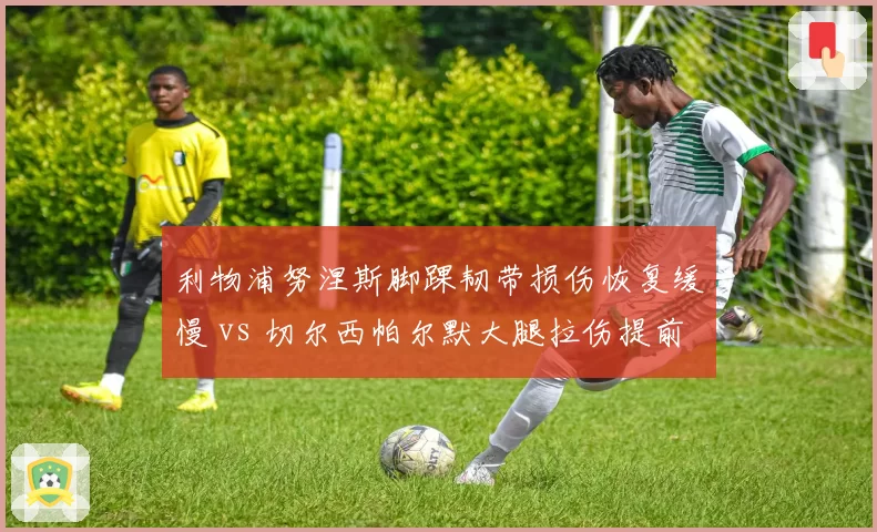 利物浦努涅斯脚踝韧带损伤恢复缓慢 vs 切尔西帕尔默大腿拉伤提前复出，英超两强锋线伤员命运各异