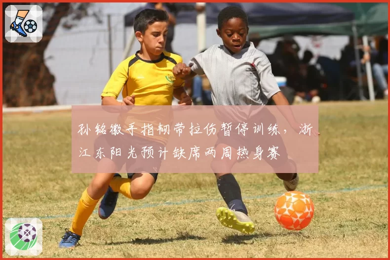 孙铭徽手指韧带拉伤暂停训练，浙江东阳光预计缺席两周热身赛